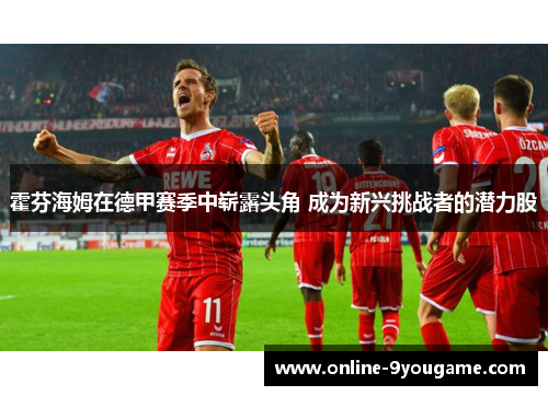 霍芬海姆在德甲赛季中崭露头角 成为新兴挑战者的潜力股 霍芬海姆在德甲赛季中崭露头角 成为新兴挑战者的潜力股