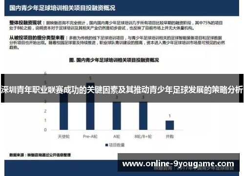深圳青年职业联赛成功的关键因素及其推动青少年足球发展的策略分析 深圳青年职业联赛成功的关键因素及其推动青少年足球发展的策略分析
