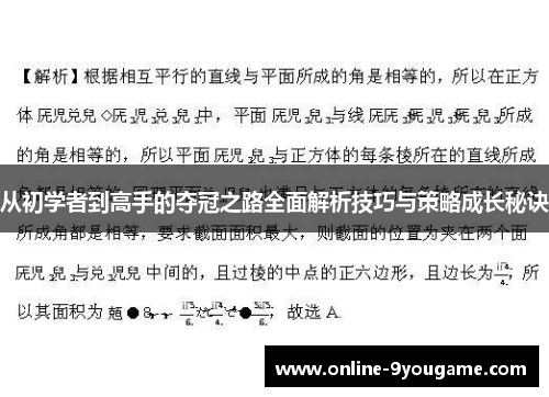 从初学者到高手的夺冠之路全面解析技巧与策略成长秘诀 从初学者到高手的夺冠之路全面解析技巧与策略成长秘诀