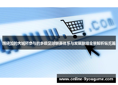 围绕加的夫城所参与的多级足球联赛体系与发展脉络全景解析纵览篇 围绕加的夫城所参与的多级足球联赛体系与发展脉络全景解析纵览篇