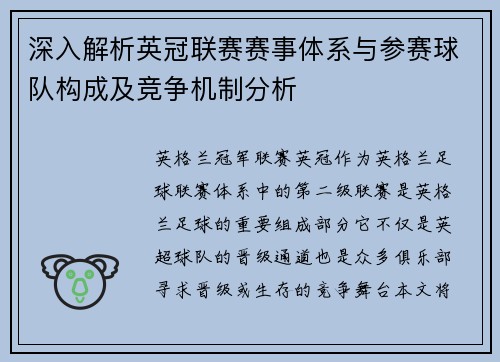 深入解析英冠联赛赛事体系与参赛球队构成及竞争机制分析